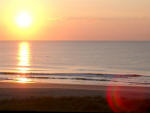 migratory swimmers at sunrise