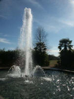 Fountain at the end of the Canal Garden, flanked by Windmill Palms  (Trachycarpus fortunei).