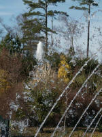 The Tunnel Fountain in action.