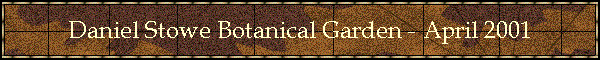 Daniel Stowe Botanical Garden - April 2001