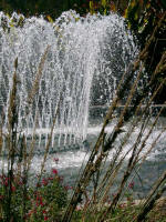 Crown Fountain � music for the ears, beauty to the eyes.
