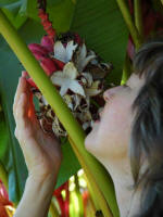 Ruth enjoying a ripened cluster of minature bananas.