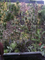 Tropical Canvas (like staghorn ferns, philodendrons, and begonias), a wall of porous fiberglass pad called rockwool, retains water and air for optimum growth.