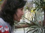 Thu Oanh admires the abundant epiphytes.