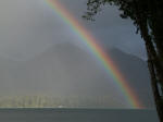 Rainbow over the shoreline of Lake Quinault frames the site of the World�s Largest Spruce:  circumference of 58', 11", diameter of 18', 9", height of 191', about 1000 years old.